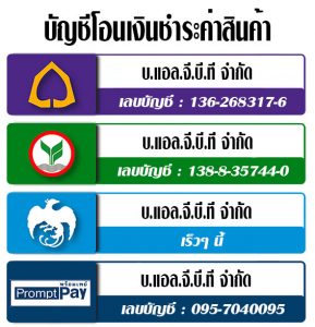 บัญชีบริษัท แอล.จี.บี.ที จำกัด-1